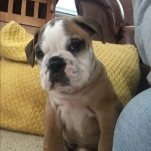 Meet your Posher, Kyle